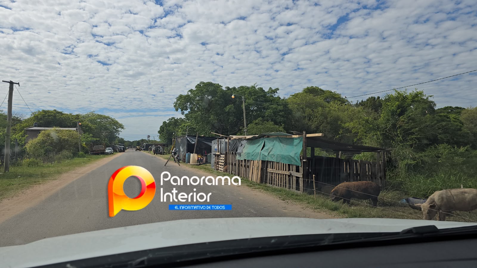 Imagen adicional