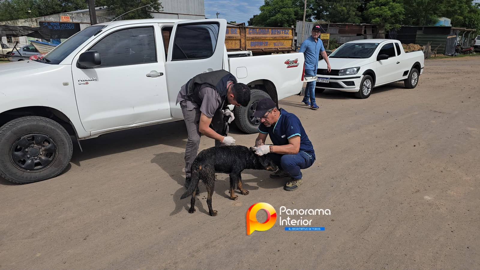 Imagen adicional
