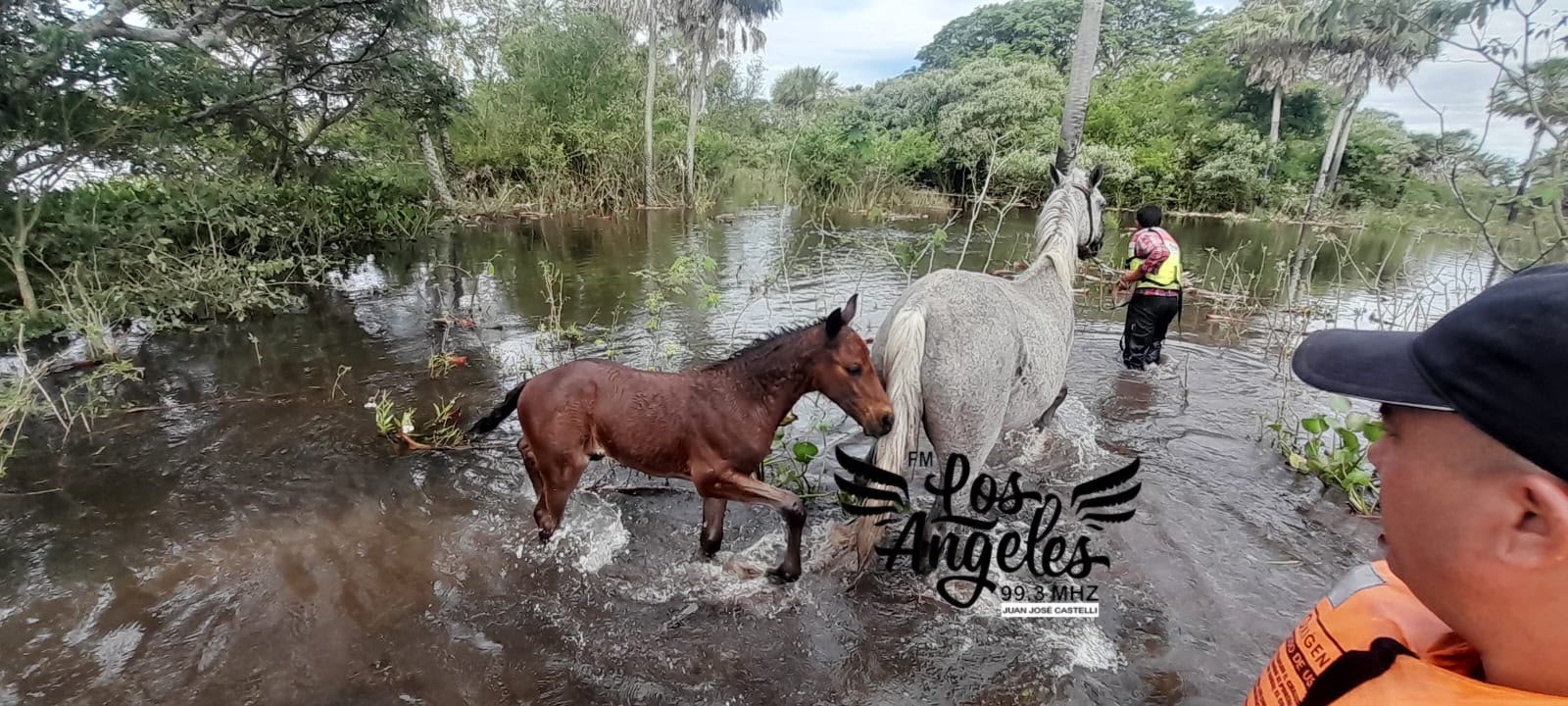 Imagen adicional