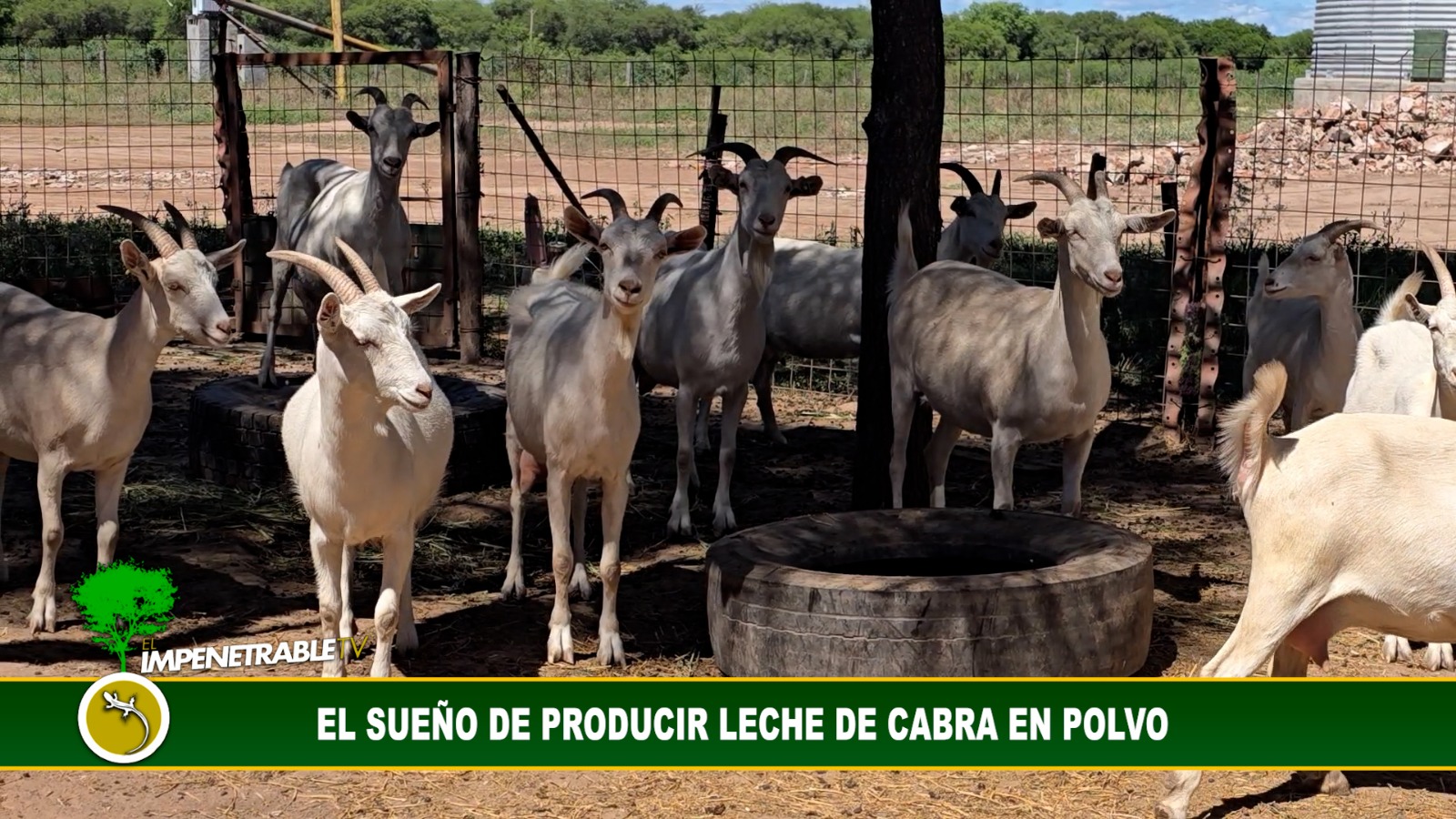 Imagen adicional