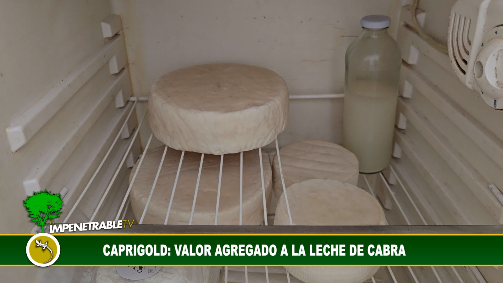 Imagen adicional